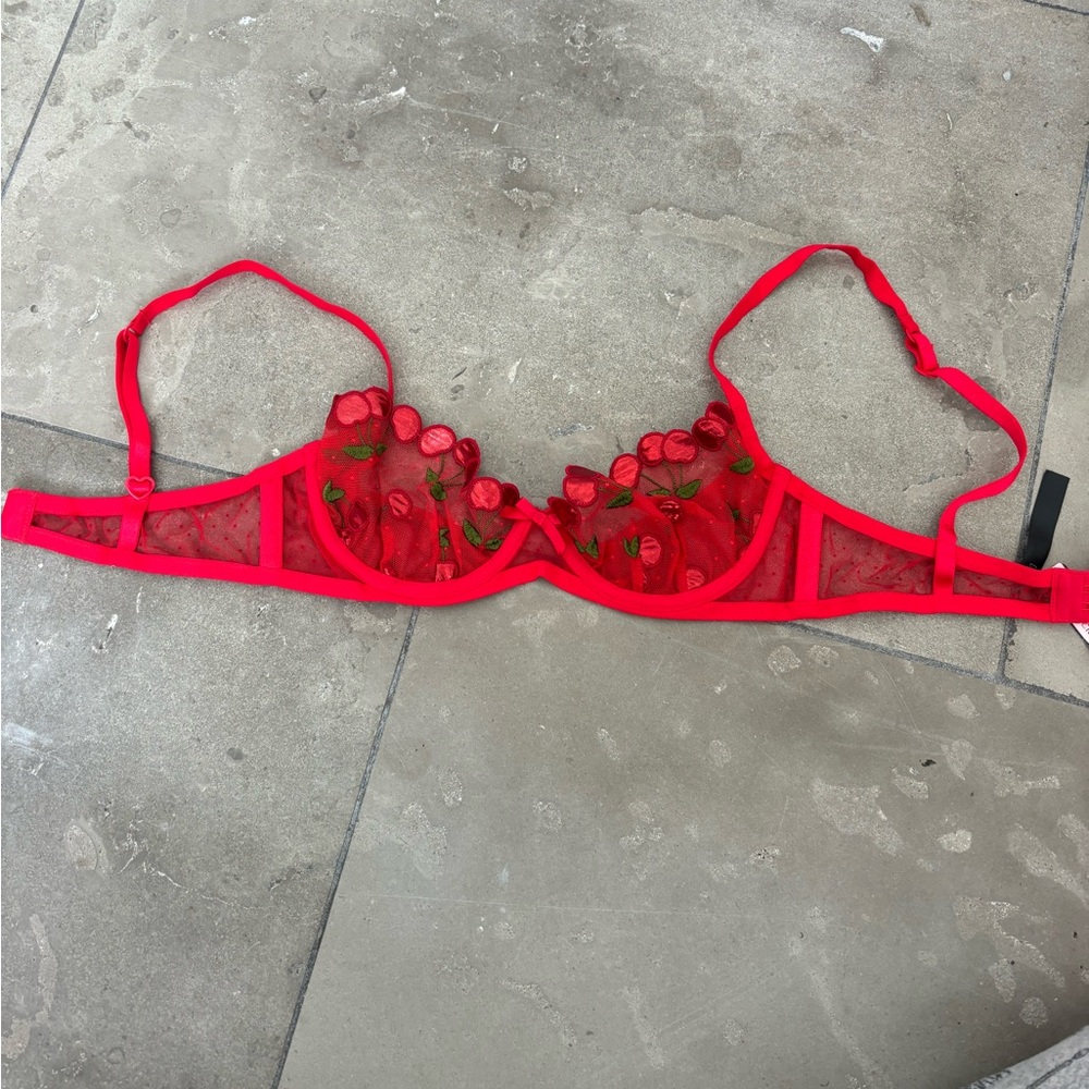 NWT For Love & Lemons Cerise Cherry Bra